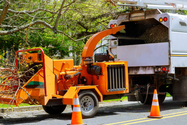 Best Tree and Shrub Care  in Fort Stewart, GA